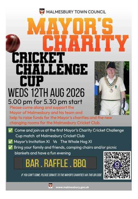 Mayor's Charity Cricket Match